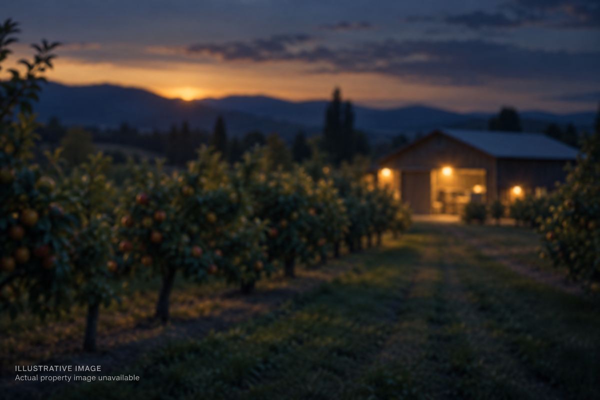 Illustrative image — a representative orchard. Not a photograph of this property.
